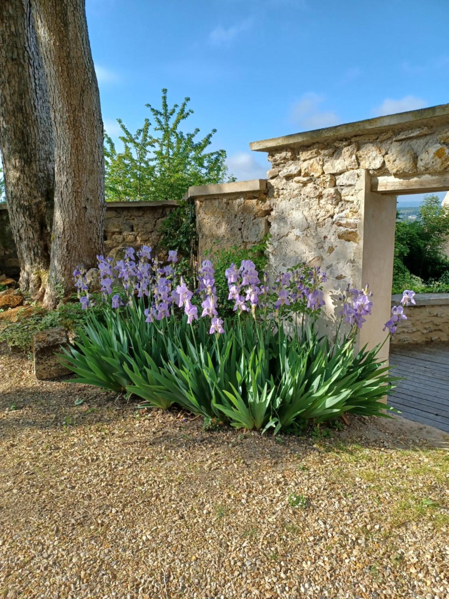 Le Verger Vaux-Sur-Seine Экстерьер фото